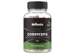 Cordyceps – housenice čínská