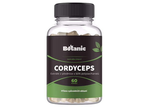 Cordyceps – housenice čínská v přírodní formě