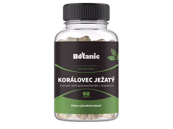 Korálovec ježatý - přírodní houba