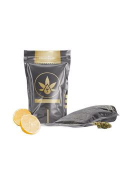 CBD konopí Lemon Haze - obrázek 1