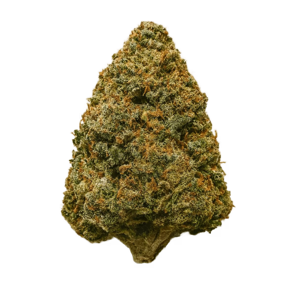 CBD květy Amnesia Haze s vysokým obsahem THC-x