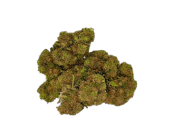 CBD Orange Gelato LIMITED EDITION Výhodné balení 10g (70Kč/g) - obrázek 1