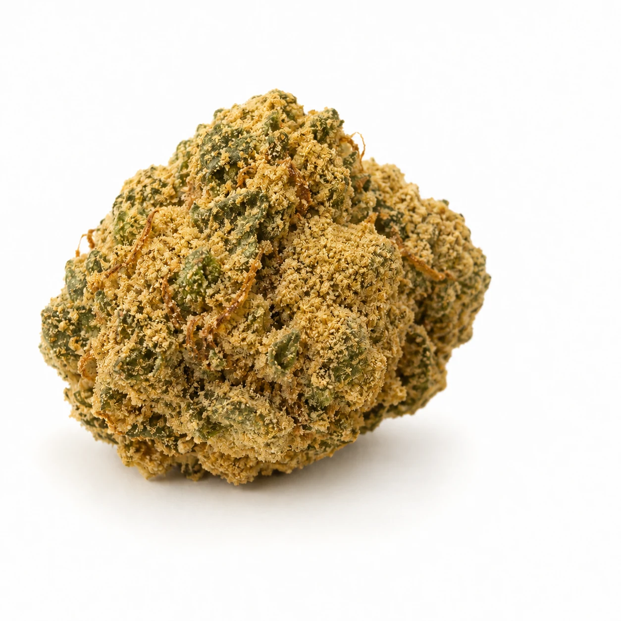 CBD Moonrocks s členitým povrchem pokrytým kiefem